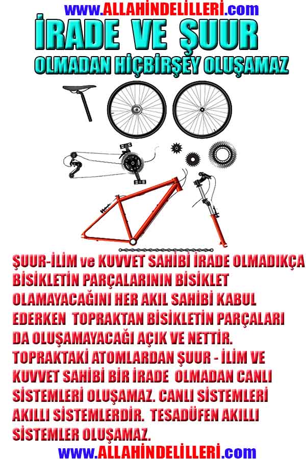 Yaratıcımızın Delilleri