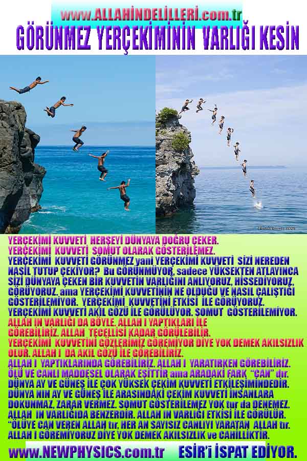 Yaratıcımızın Delilleri