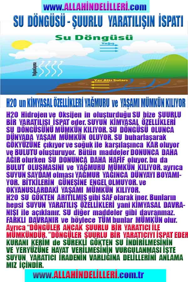 Yaratıcımızın Delilleri