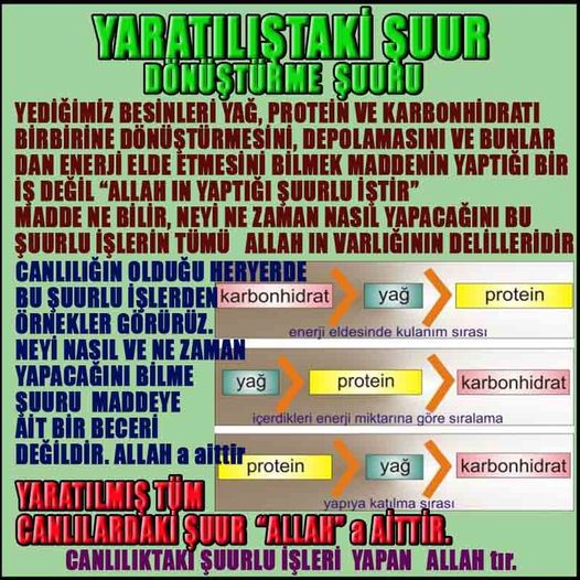 Yaratıcımızın Delilleri