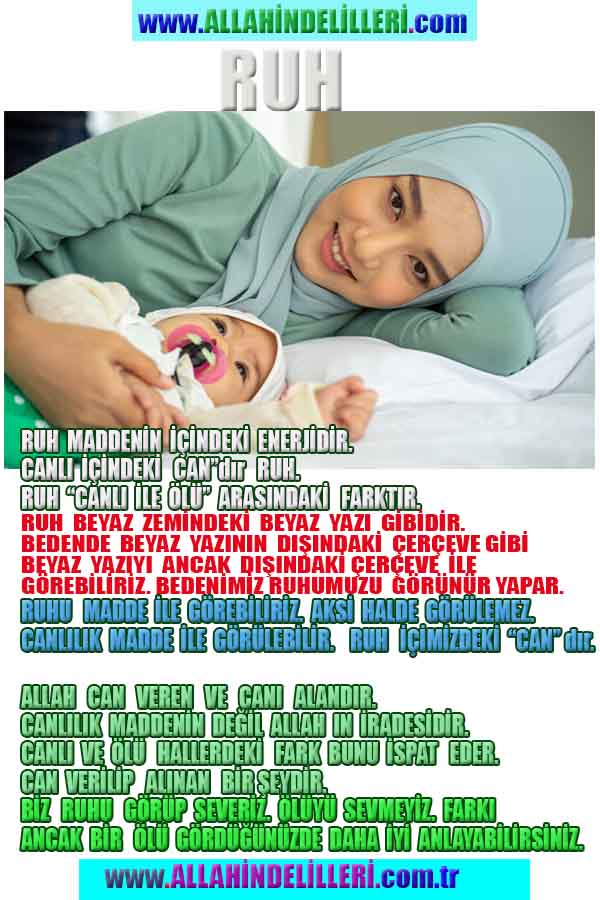 Yaratıcımızın Delilleri