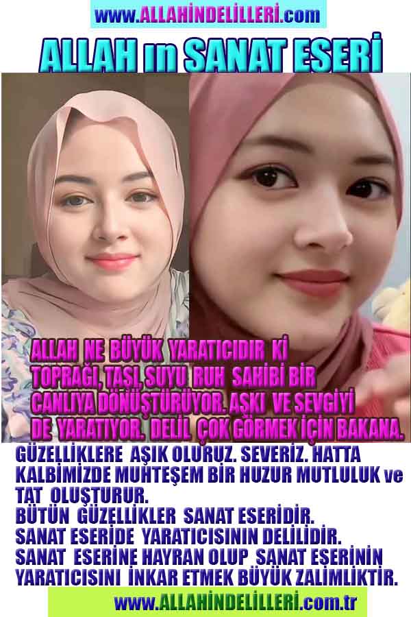 Yaratıcımızın Delilleri